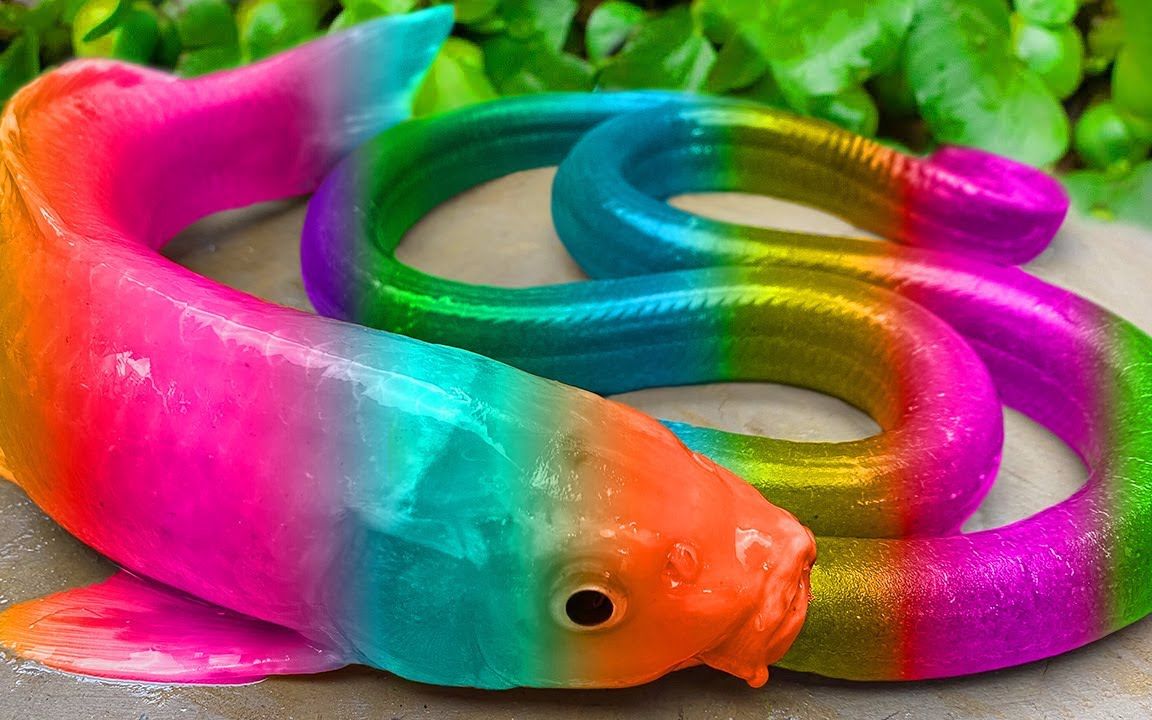 彩虹锦鲤猎鱼,七彩鳗鱼!