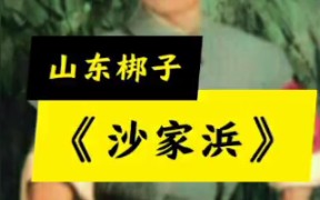 山东梆子 沙家浜 选段王金亭原梁山县山东梆子剧团录音哔哩哔哩bilibili