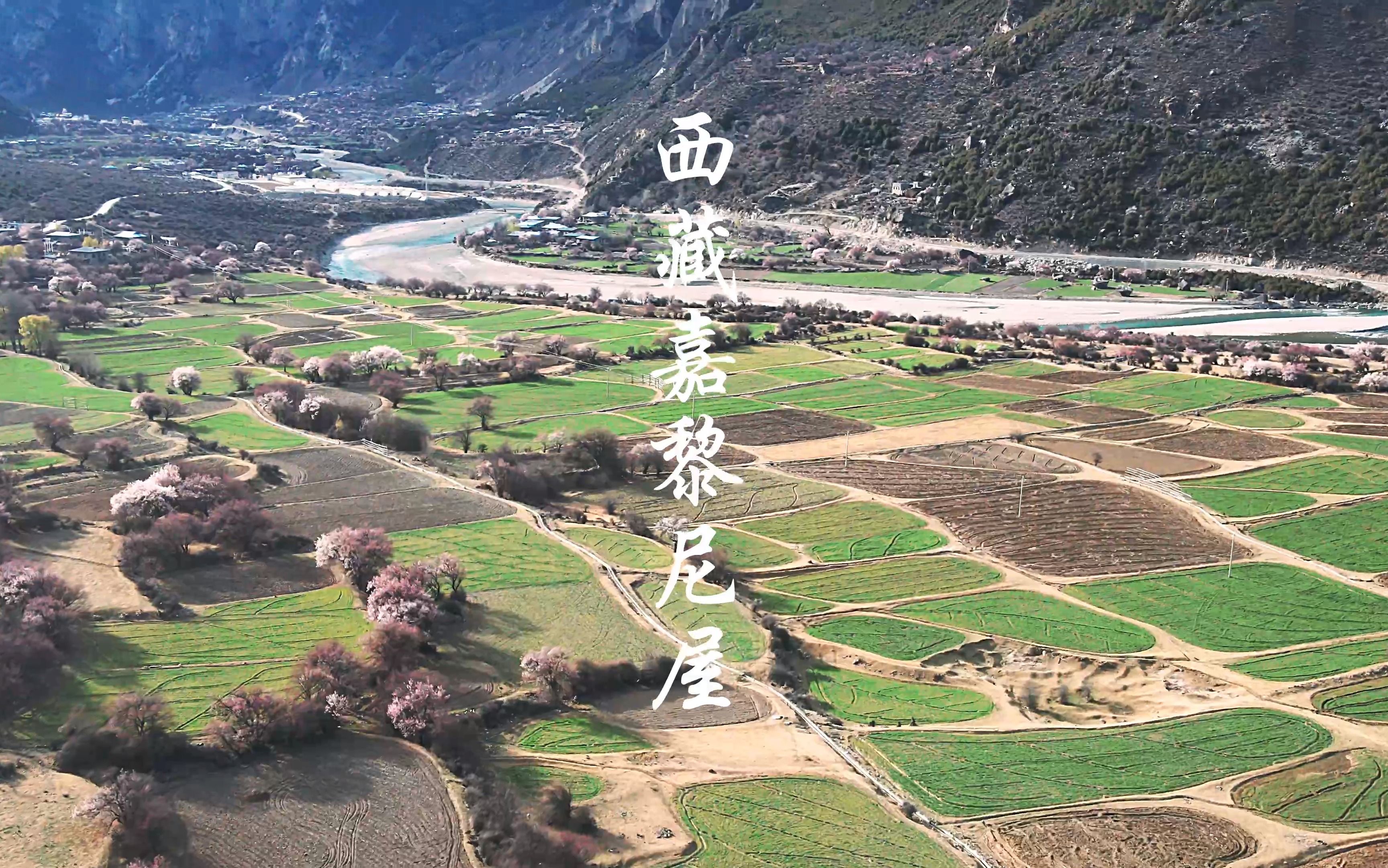 【航拍西藏4k】嘉黎县尼屋乡桃花