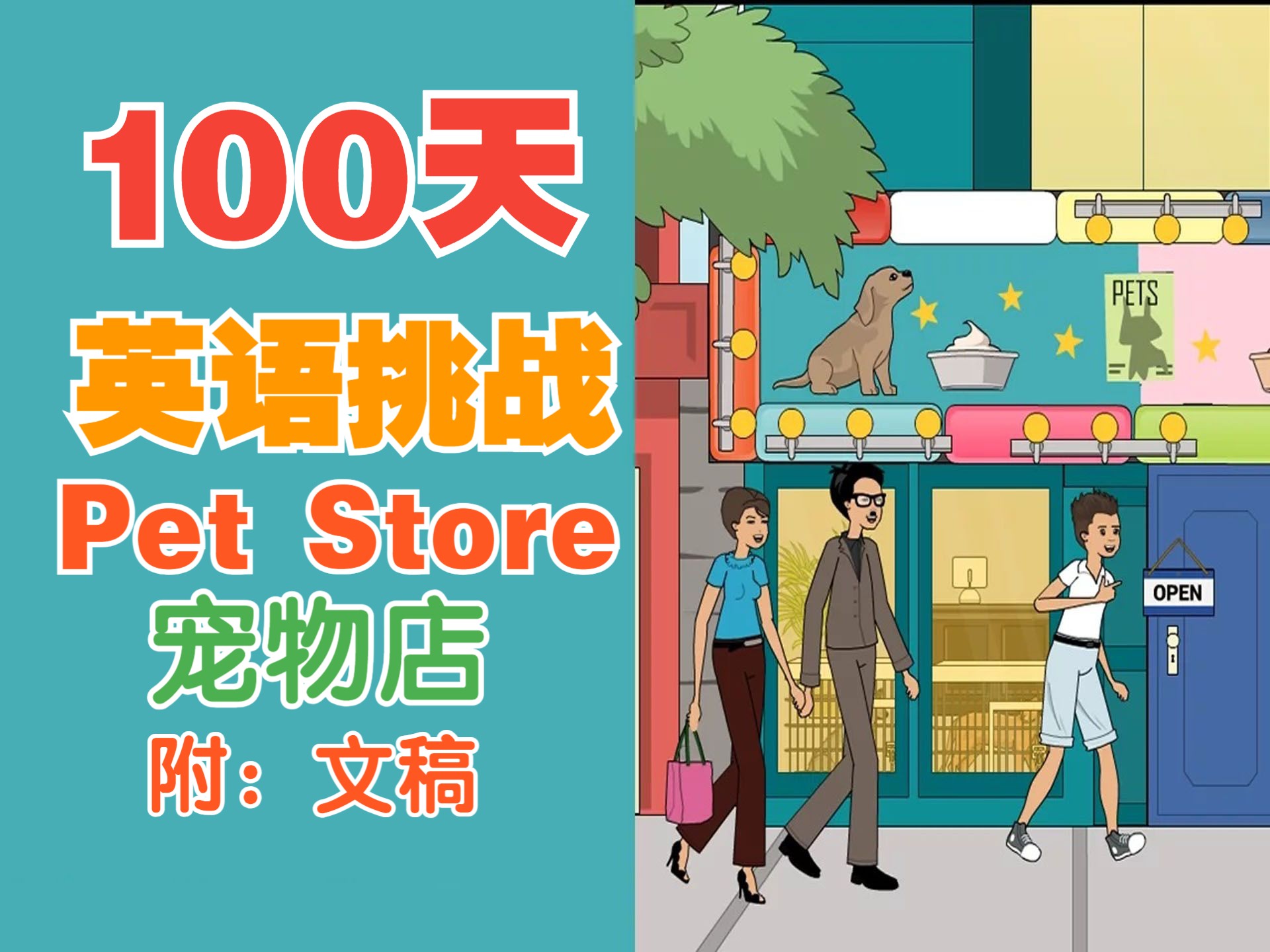 【生活丨宠物】11☆宠物店ⷔhe Pet Store丨84【100天英语ⷮ‹挑战】哔哩哔哩bilibili