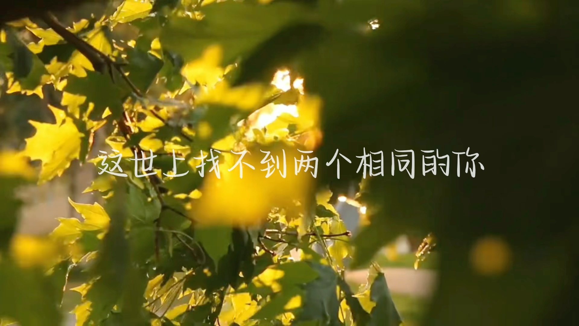 再平凡的你也是限量版-树一sy-树一sy-哔哩哔哩视频