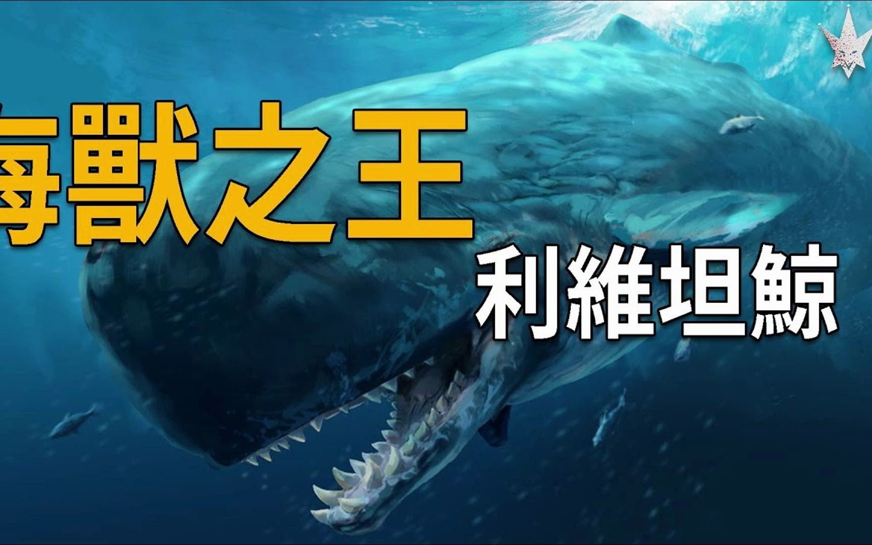 海獸之王「利維坦鯨」,君臨海洋哺乳類的王者,所有鯨類代表最強的存在