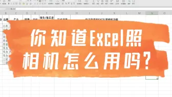 你知道Excel照相机怎么用吗？