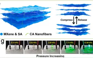 下载视频: 【论文研读】压力传感器-81-基于Mxene-CA-SA-MTS的疏水高导电高弹性气凝胶基压力传感器-1