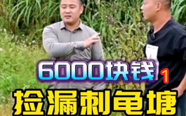 被塘主软磨硬泡又补价5000的刺龟塘,看看里面到底能上多少货…?哔哩哔哩bilibili