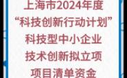 【上海市科委】:上海市2024年度“科技创新行动计划”科技型中小企业技术创新拟立项项目清单资金六哔哩哔哩bilibili