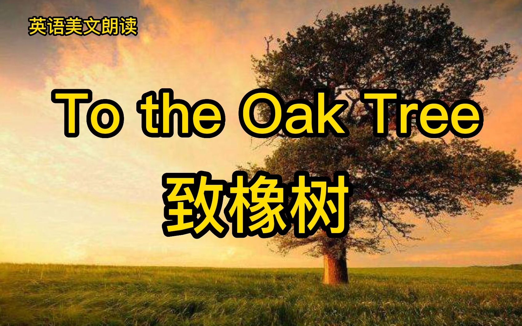 [图]Gwen为你读诗：To the Oak Tree  致橡树