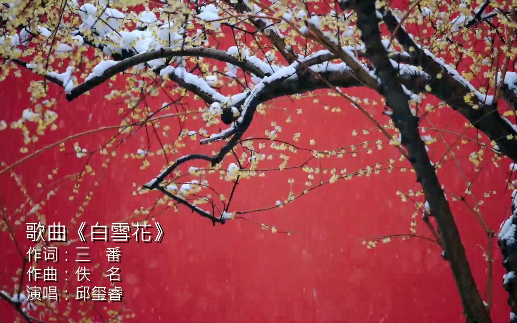 MV欣赏《白雪花》三番作词 佚名作曲 邱玺睿演唱哔哩哔哩bilibili