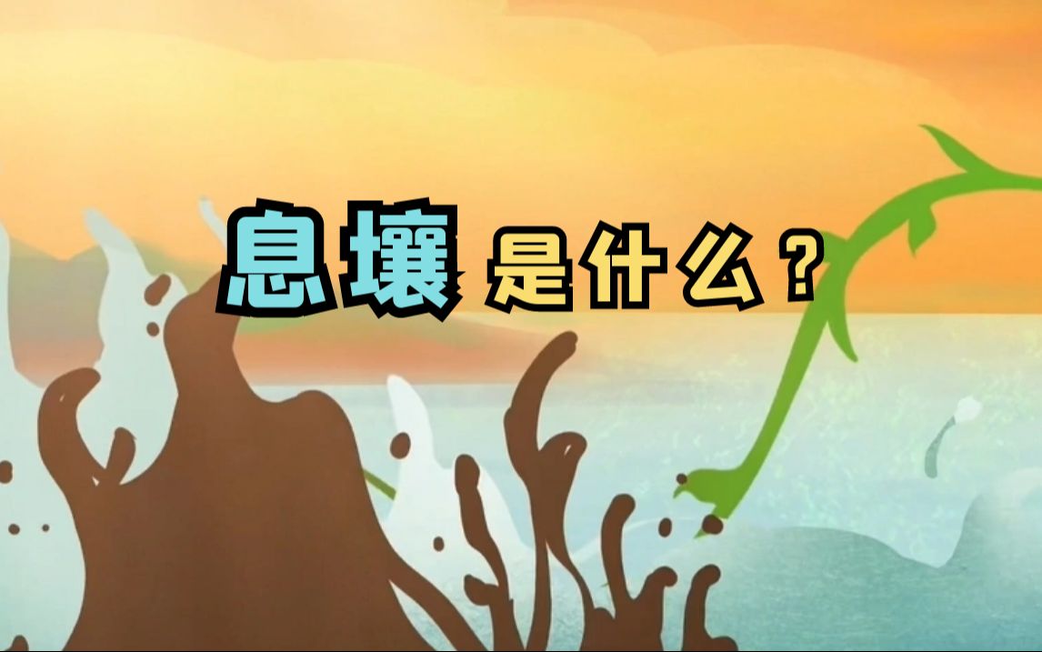 你知道息壤是什么吗?哔哩哔哩bilibili