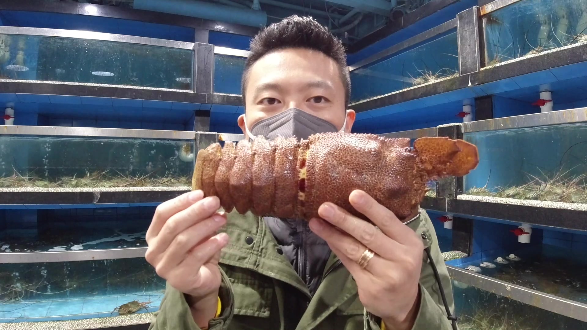 首测非洲琵琶虾 美味超越大龙虾