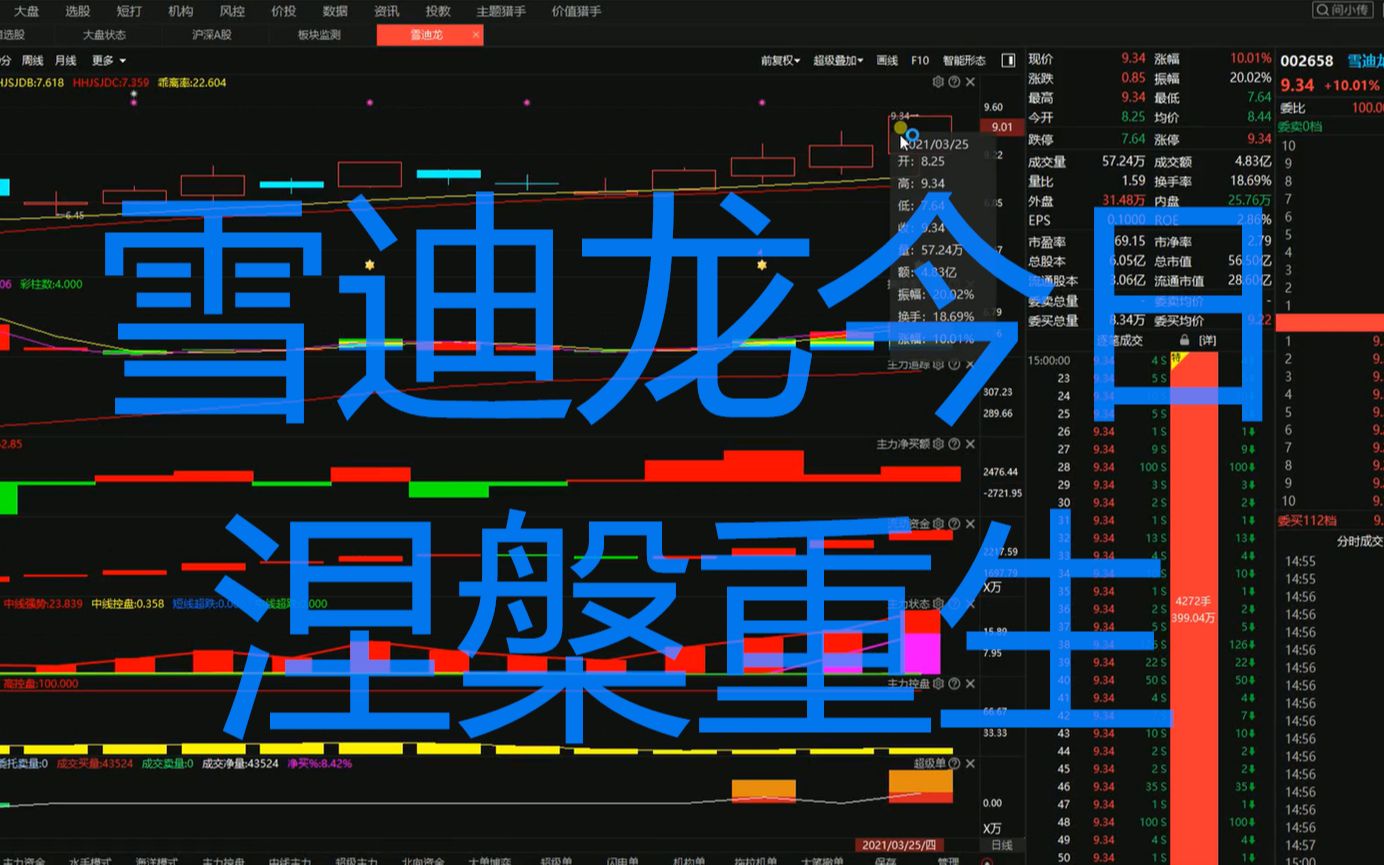 雪迪龙今日涅槃重生,跌停到涨停只用十分钟哔哩哔哩bilibili