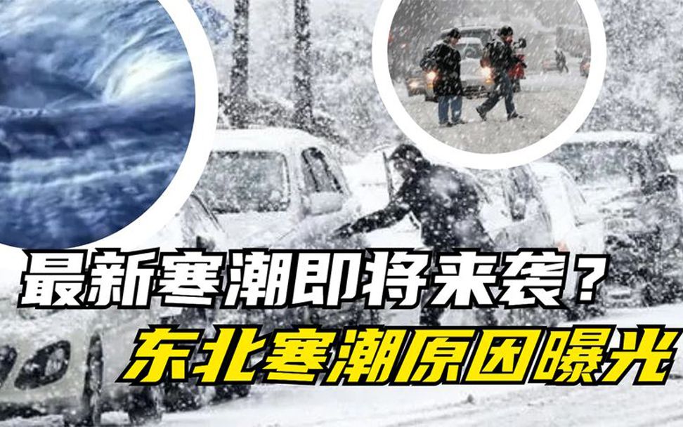 [图]东北暴雪原因找到了！打破60年最冷记录，罪魁祸首到底是谁？