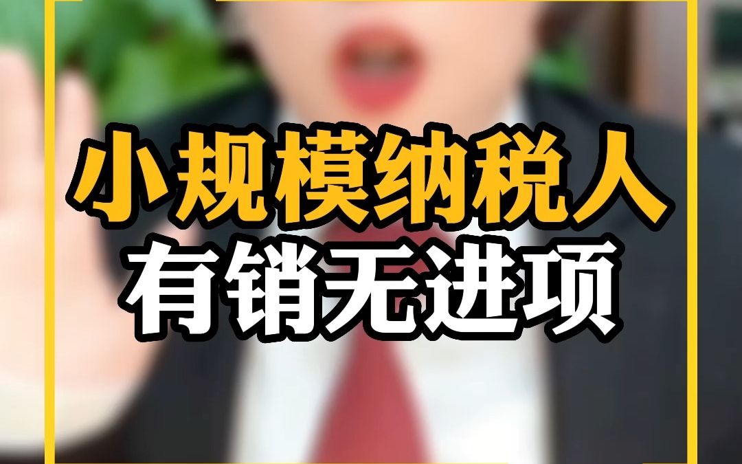 小规模纳税人有销无进项哔哩哔哩bilibili