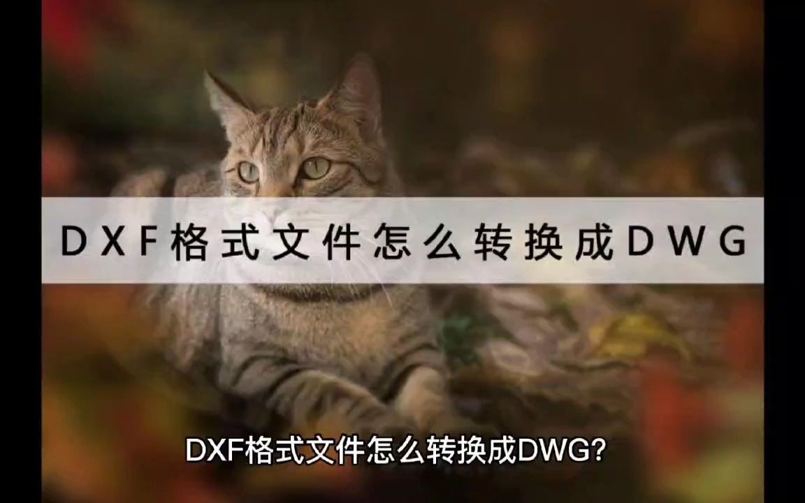 DXF格式文件怎么转换成DWG?不会的赶紧收藏这方法哔哩哔哩bilibili