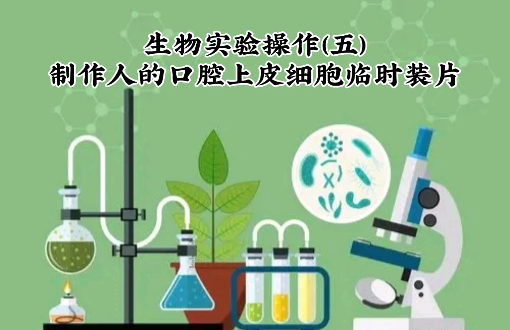 初中生物实验操作(五)制作人的口腔上皮细胞临时装片哔哩哔哩bilibili