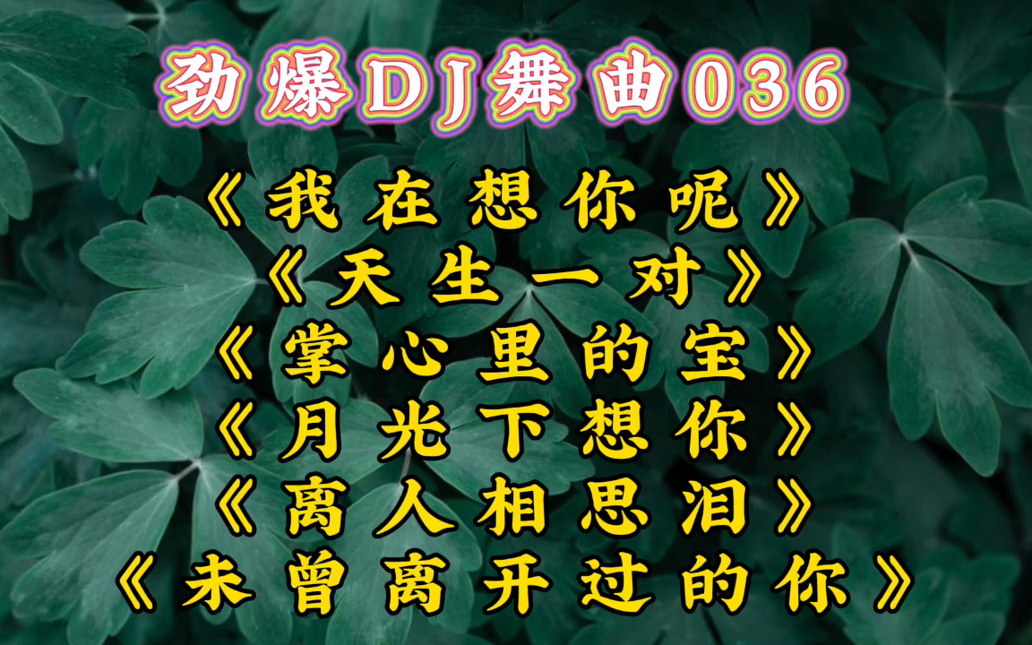 [图]劲爆DJ舞曲036《天生一对》《掌心里的宝》《我在想你呢》