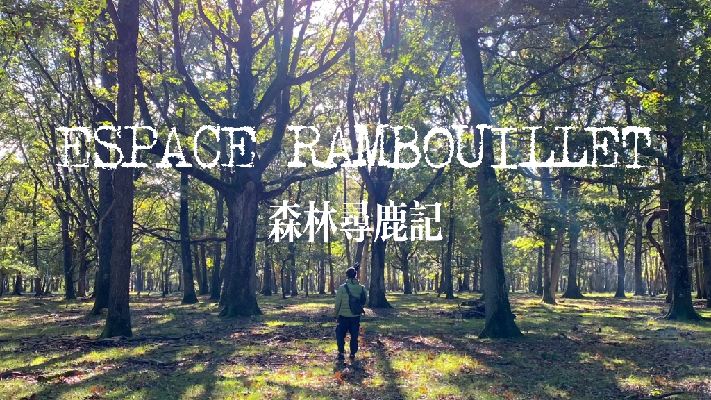 [图]Espace Rambouillet丨森林寻鹿记