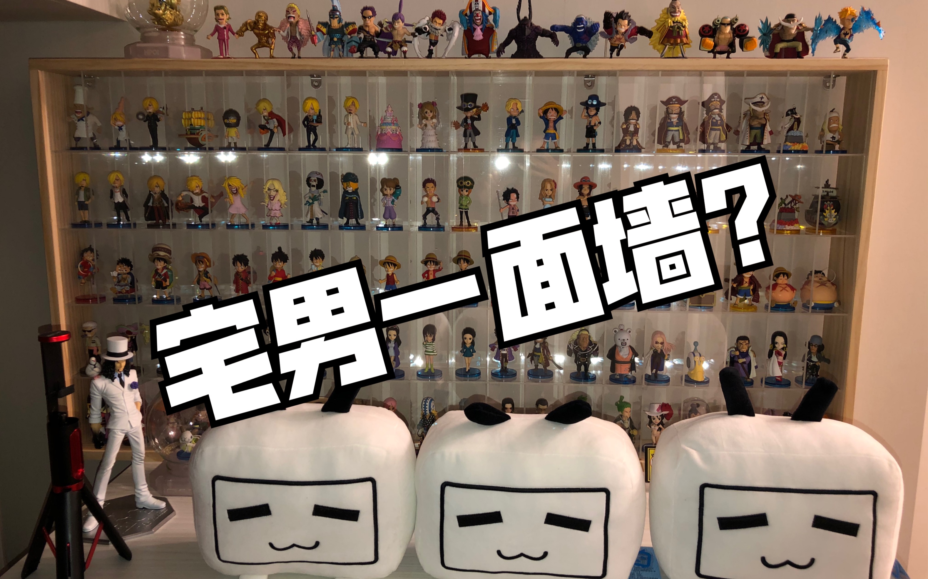 宅男一面墙后面一句是什么来着?