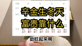 Tải video: 冬天的辛金，富贵要靠什么