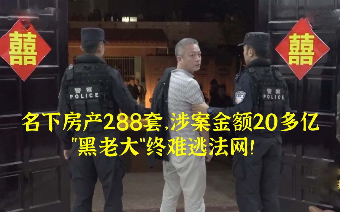 [图]名下房产288套，涉案金额20多亿，”黑老大“终难逃法网！