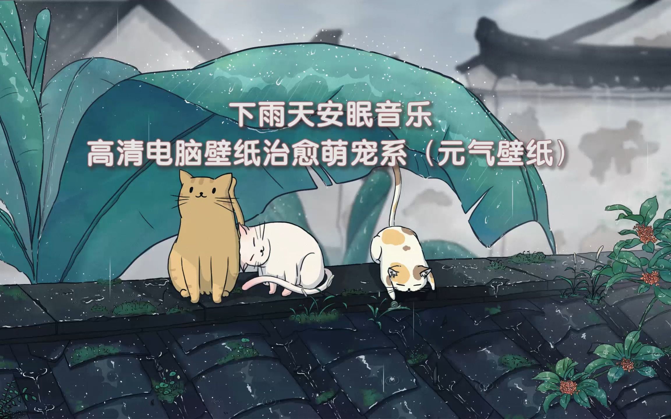 下雨天安眠音乐 高清电脑壁纸喵星人的烟雨入江南
