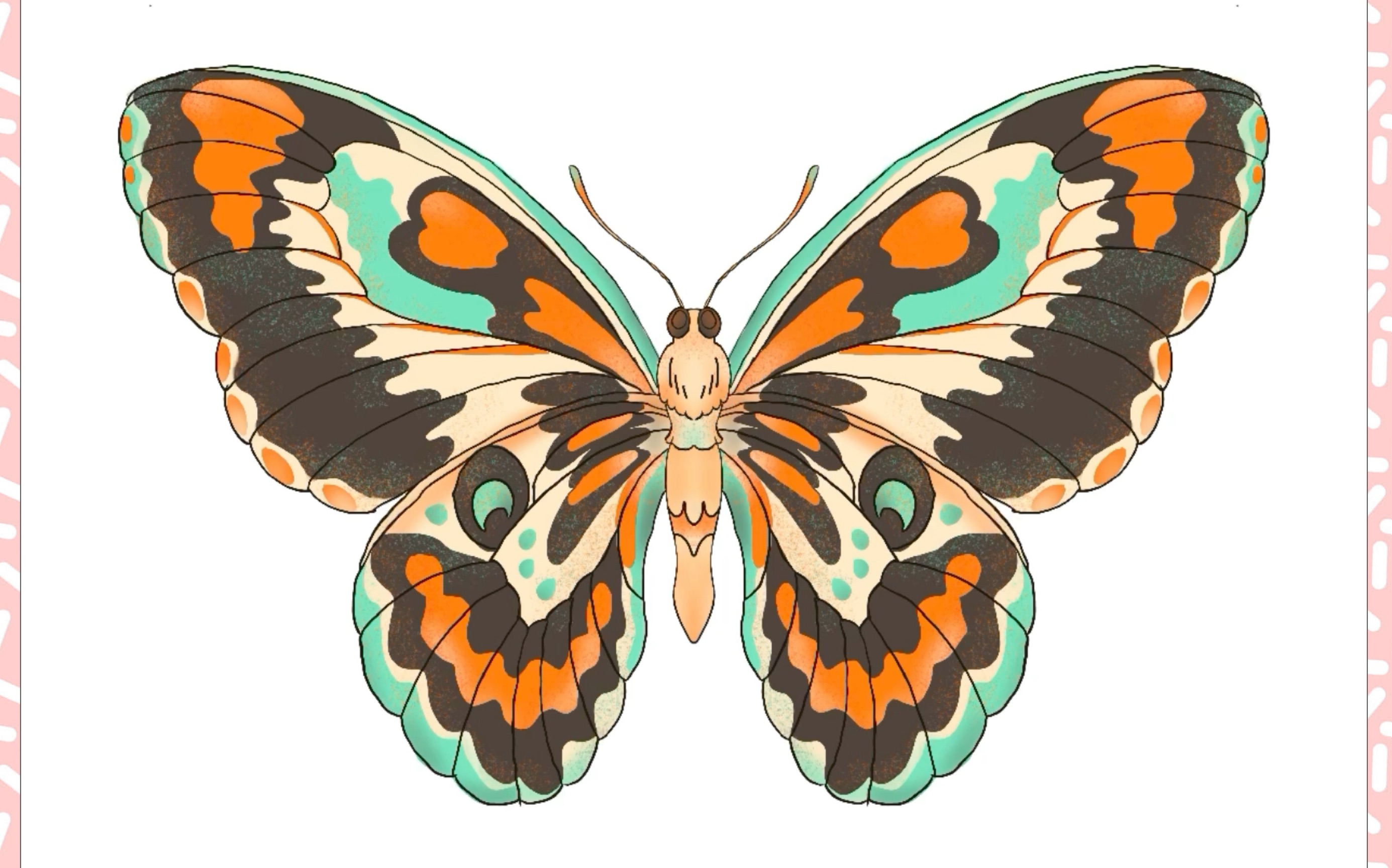 【procreate练习】01蝴蝶 又可以画画了