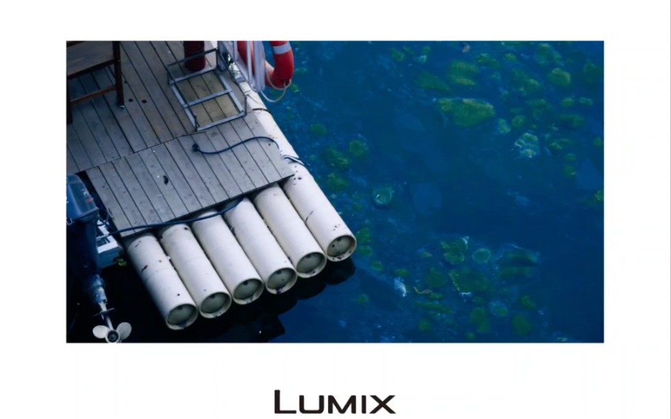 (lumix)拿到相机一个多月了,我真的有摄影天赋吗?