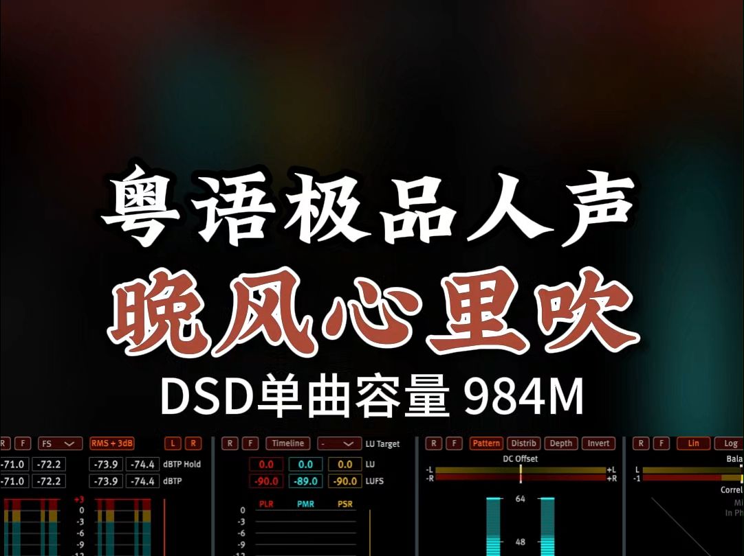 [图]经典粤语，极品发烧女声，《晚风心里吹》DSD 完整版984M，百万调音师专业录音棚制作，顶级hifi无损音质