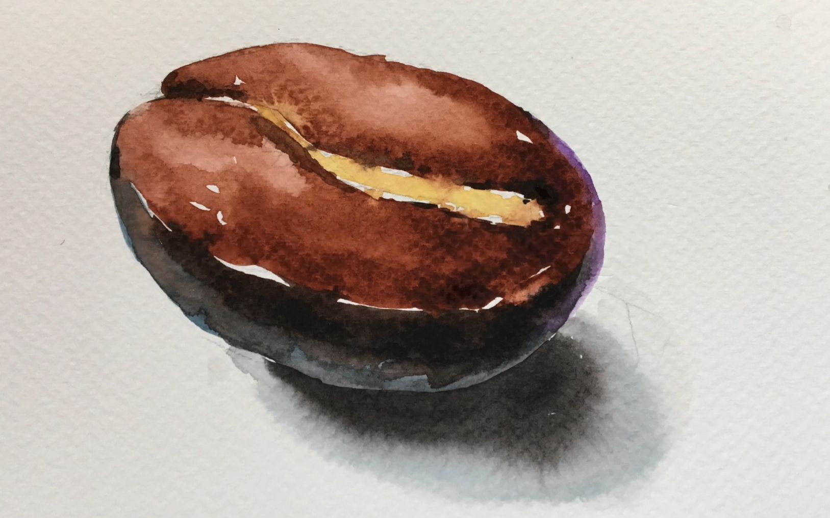 【水彩】画一个咖啡豆—painting coffee bean