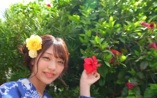 木下日葵 哔哩哔哩 Bilibili