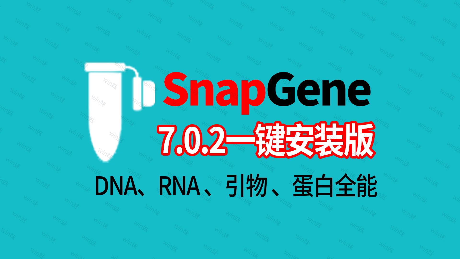 一键安装SnapGene7.0.2版DNA、RNA、蛋白 分子克隆引物设计序列比对软件哔哩哔哩bilibili