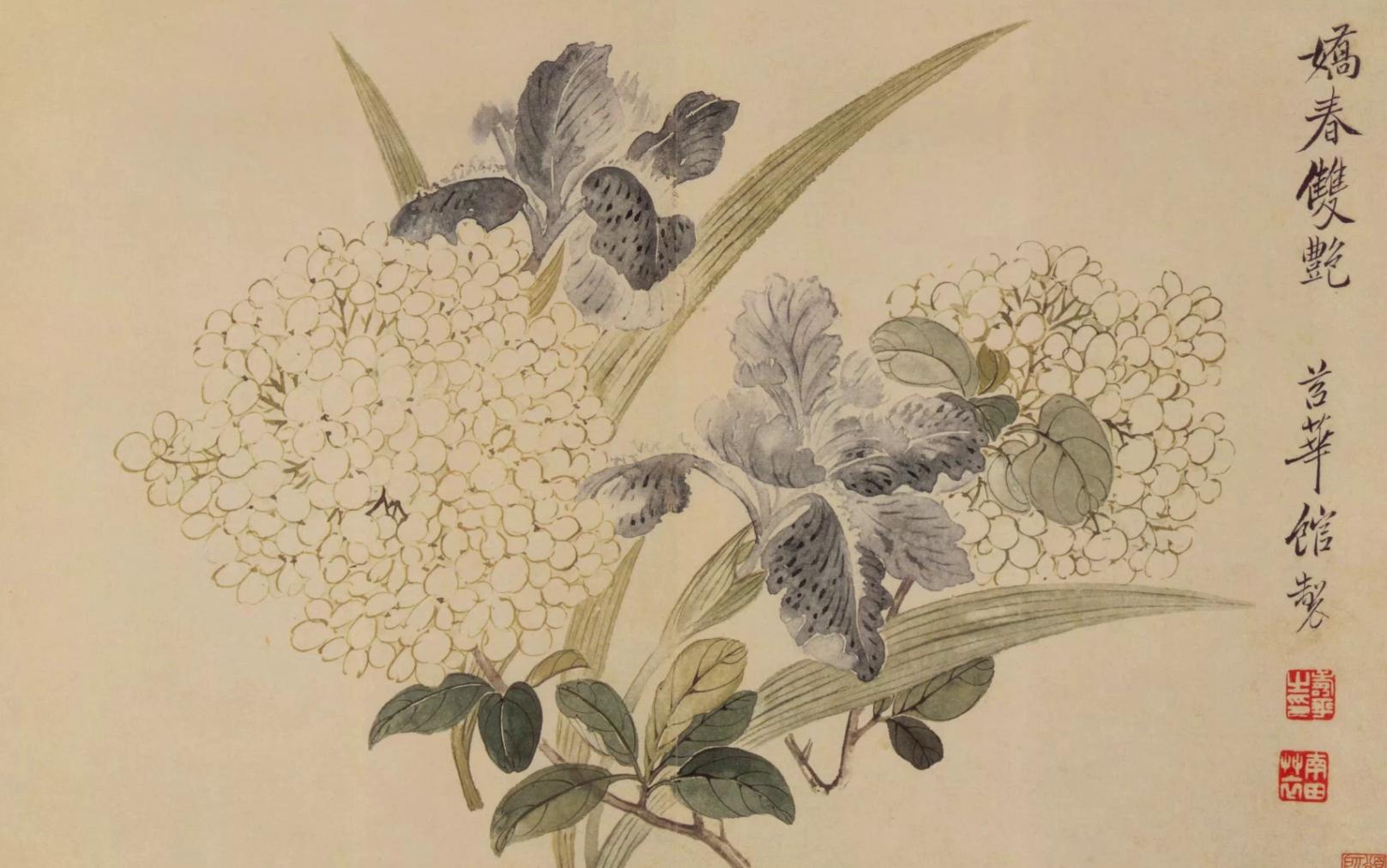 美学欣赏|没骨花卉清代画家—恽寿平