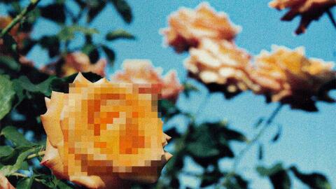 红白合战 Globe Can T Stop Fallin In Love 第47回紅白歌合戦现场1996 12 31 哔哩哔哩 Bilibili