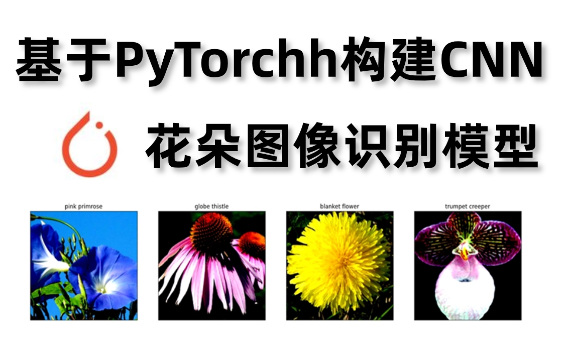 研一、研二必学!基于PyTorch搭建【CNN卷积神经网络】实现简单花朵图像识别模型,原理详解+项目实战,计算机视觉毕设人必备的练手项目!哔哩哔哩...