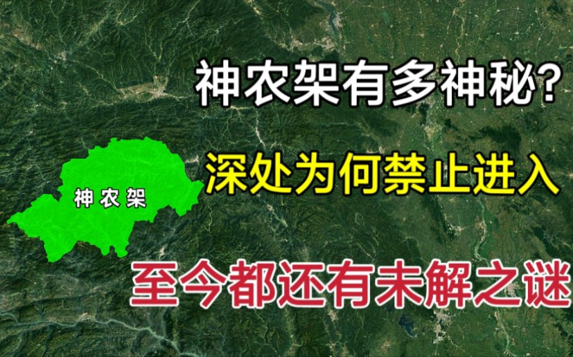 神农架有多神秘?为何深处不让进?至今都还有未解之谜!哔哩哔哩bilibili