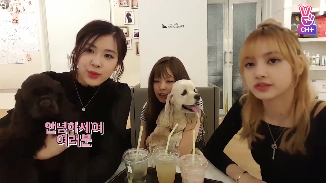 [图]BLACKPINK Loves Dogs