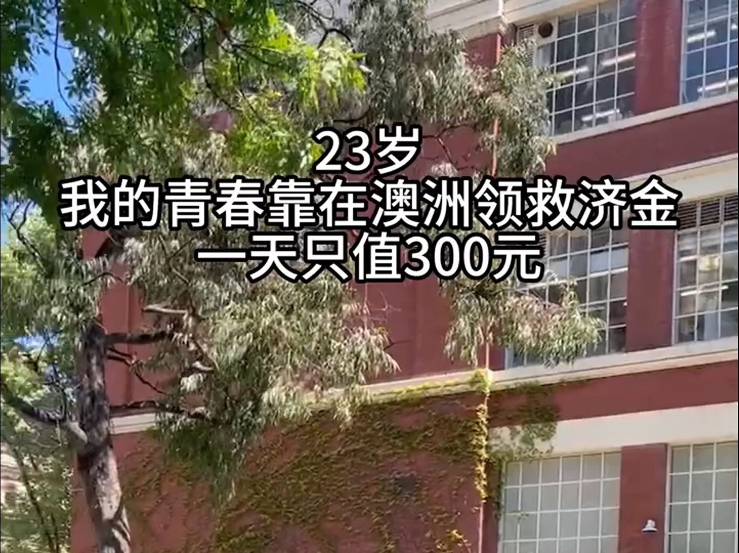 在澳洲摆烂的青春300一天墨尔本哔哩哔哩bilibili