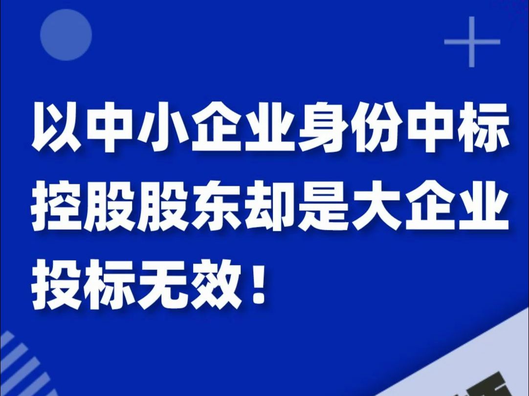 以中小企业身份中标,控股股东却是大企业?投标无效!哔哩哔哩bilibili