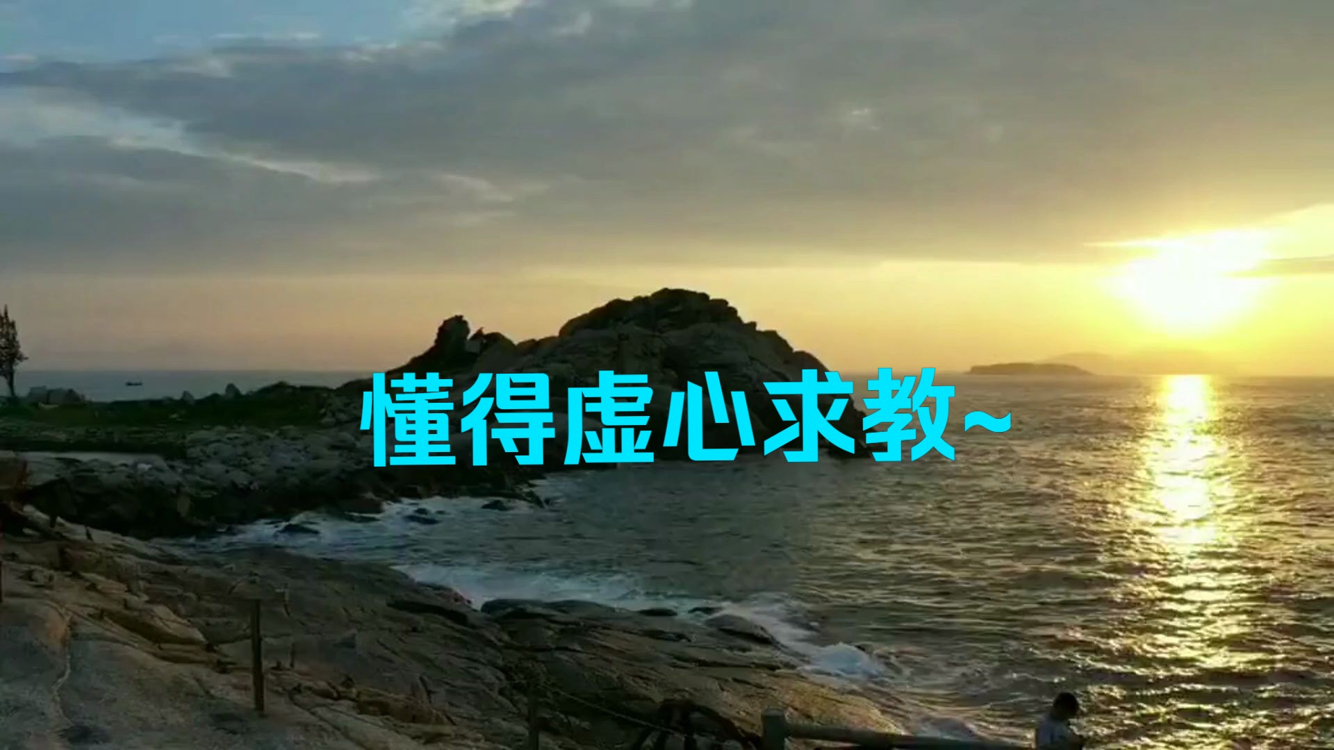 5月16日 文摘打卡第六十七天!学会虚心求教,也是一种很棒的能力!