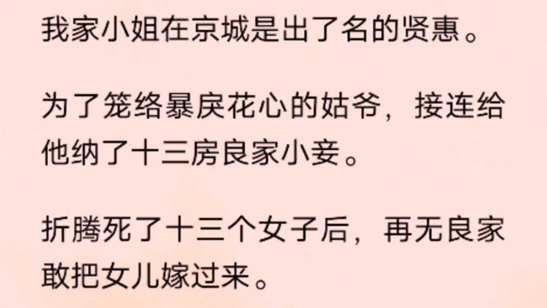 我家小姐在京城是出了名的贤惠.为了笼络暴戾花心的姑爷,接连给他纳了十三房良家小妾.哔哩哔哩bilibili