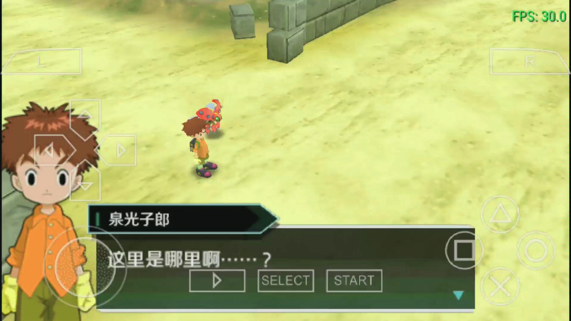 光子郎为什么喜欢美美