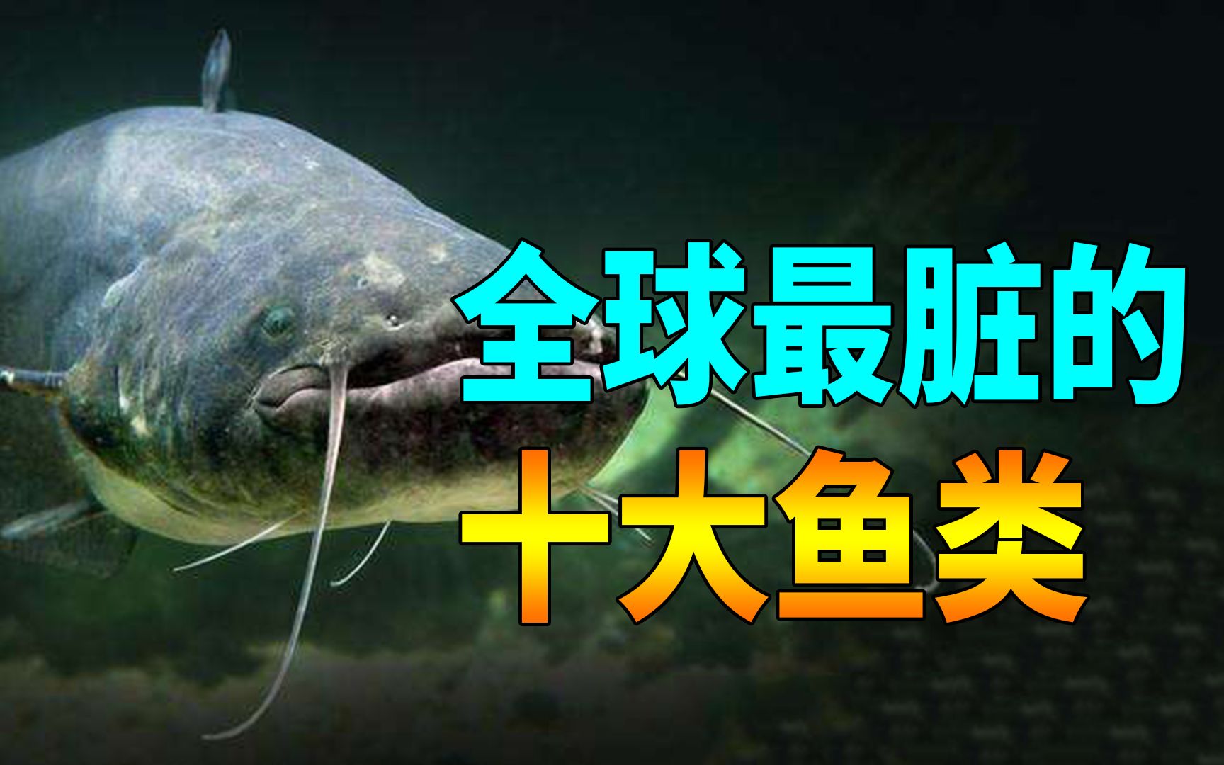 全球十大最脏的鱼,寄生虫和重金属严重超标,有些鱼你还经常吃