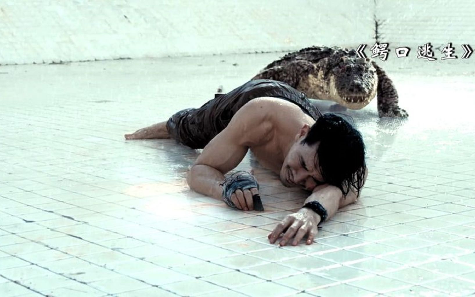 一男一女被困十米泳池,不料里面有只大鳄鱼,《鳄口逃生》