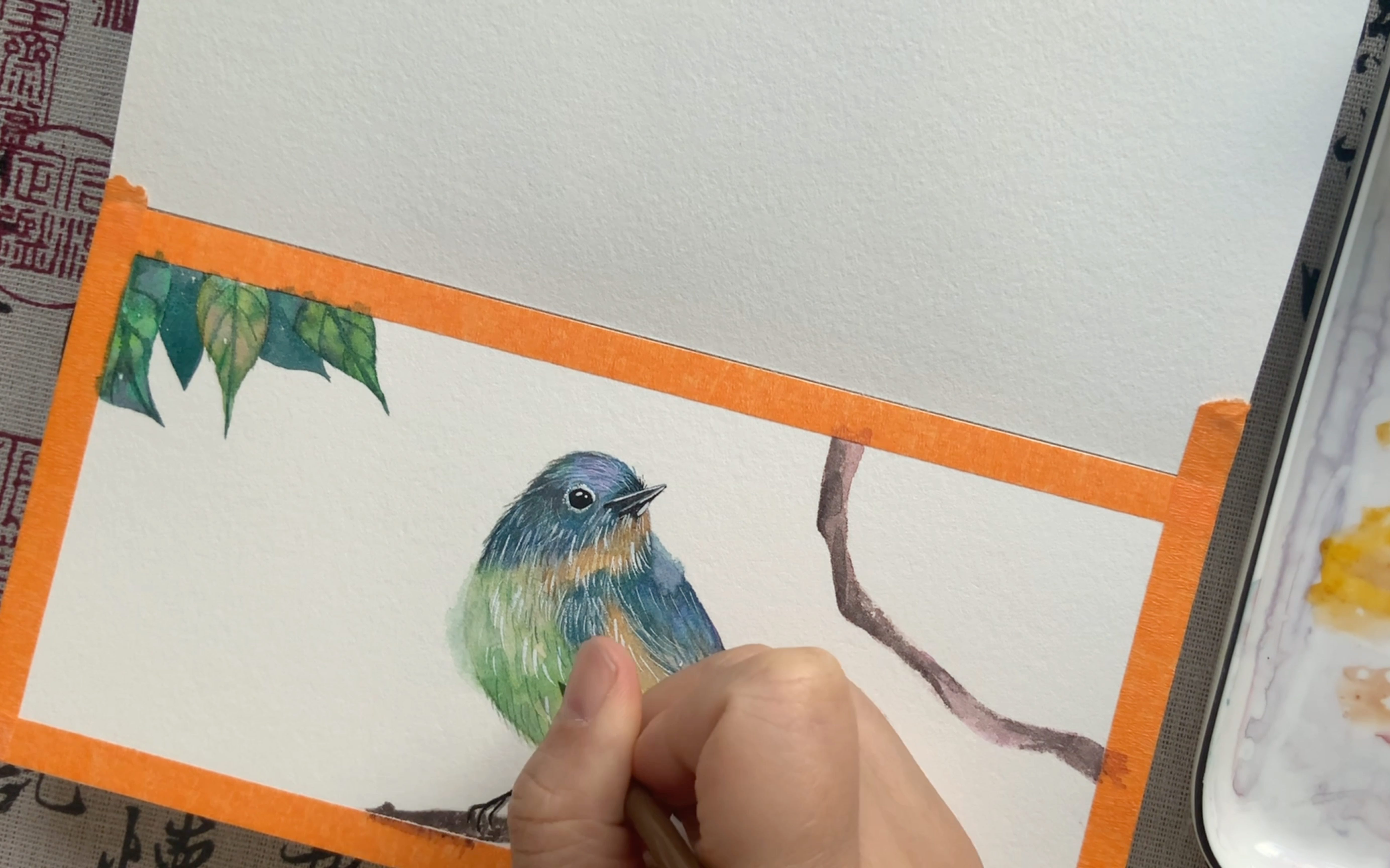 水彩插画小鸟过程