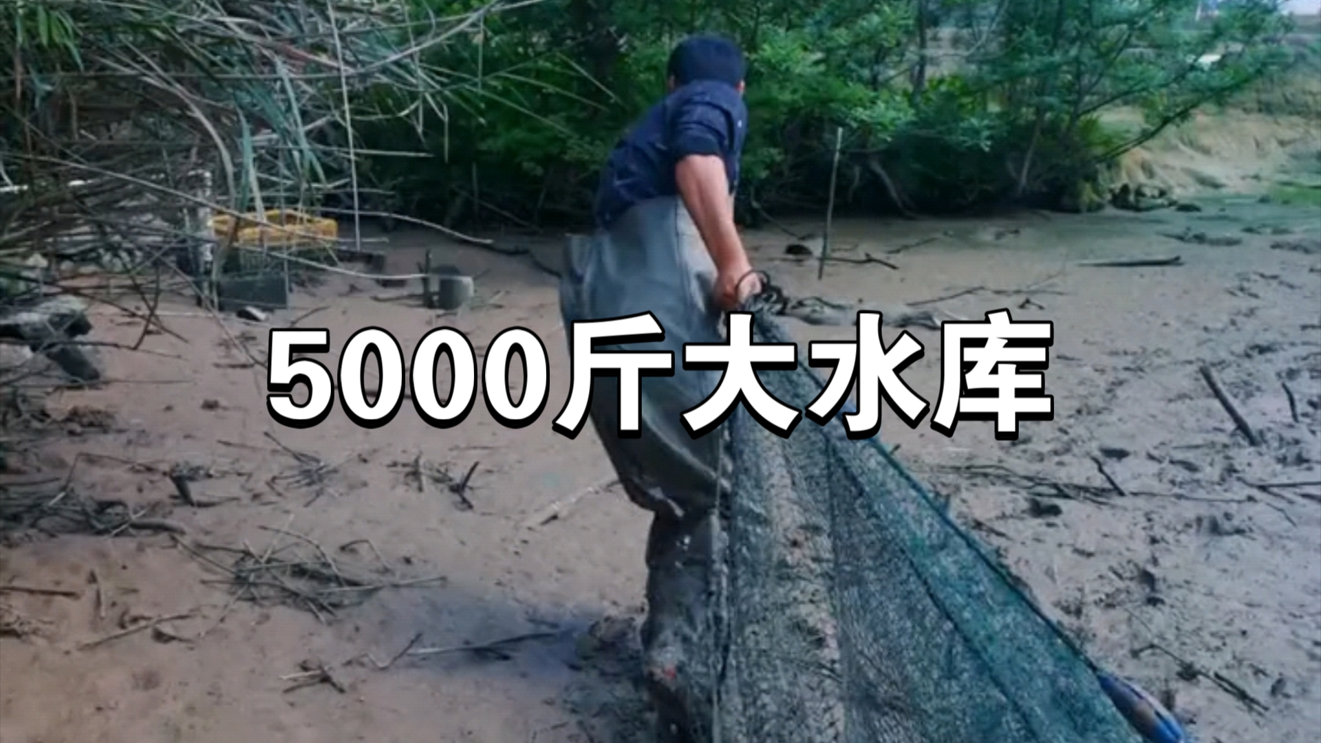 包下一个有5000斤鱼的大水库,没想到里面的鱼竟然只要两块五哔哩哔哩bilibili