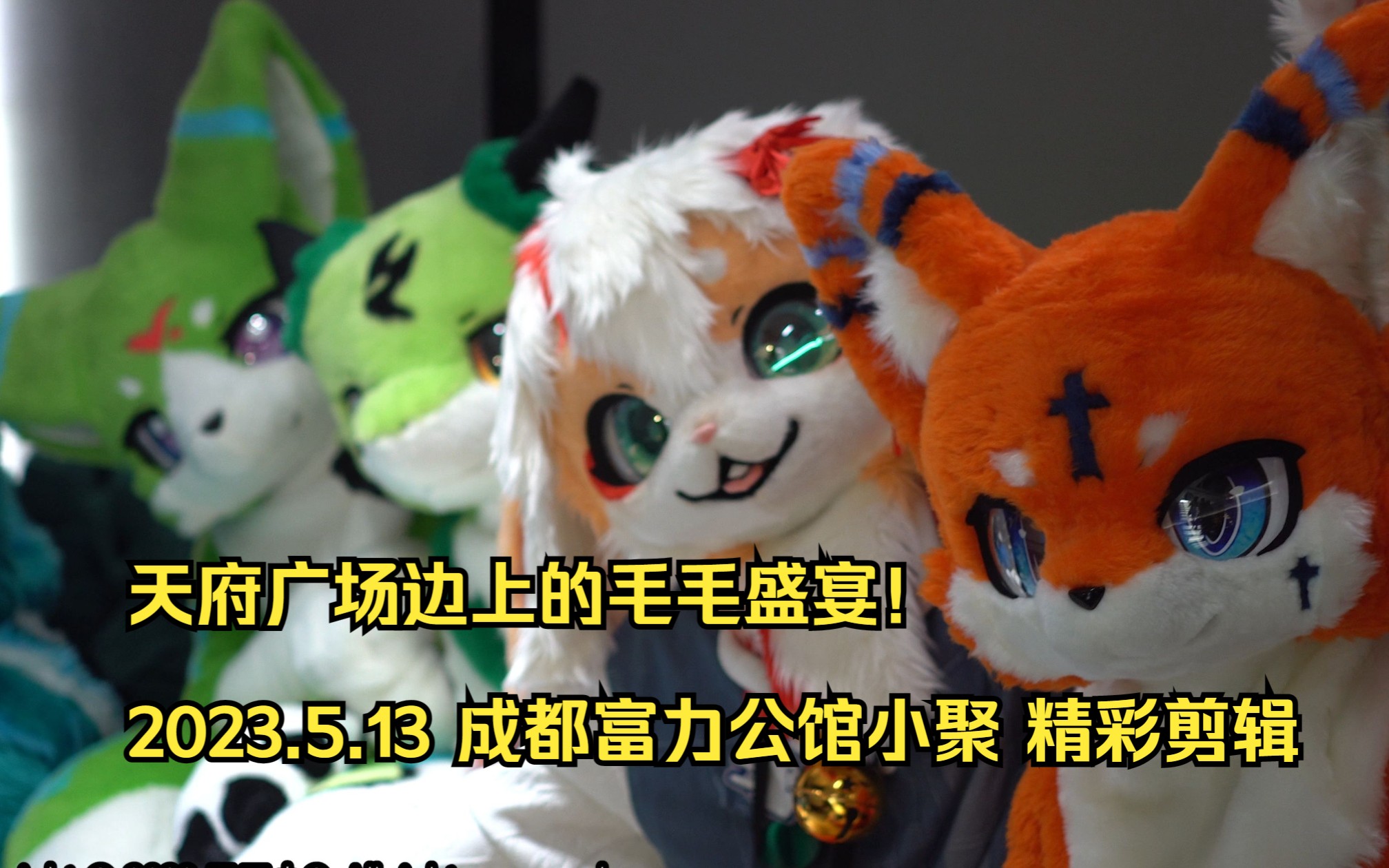 [图]【FURRY】天府广场边上的毛毛盛宴！2023.5 成都富力公馆小聚 精彩剪辑