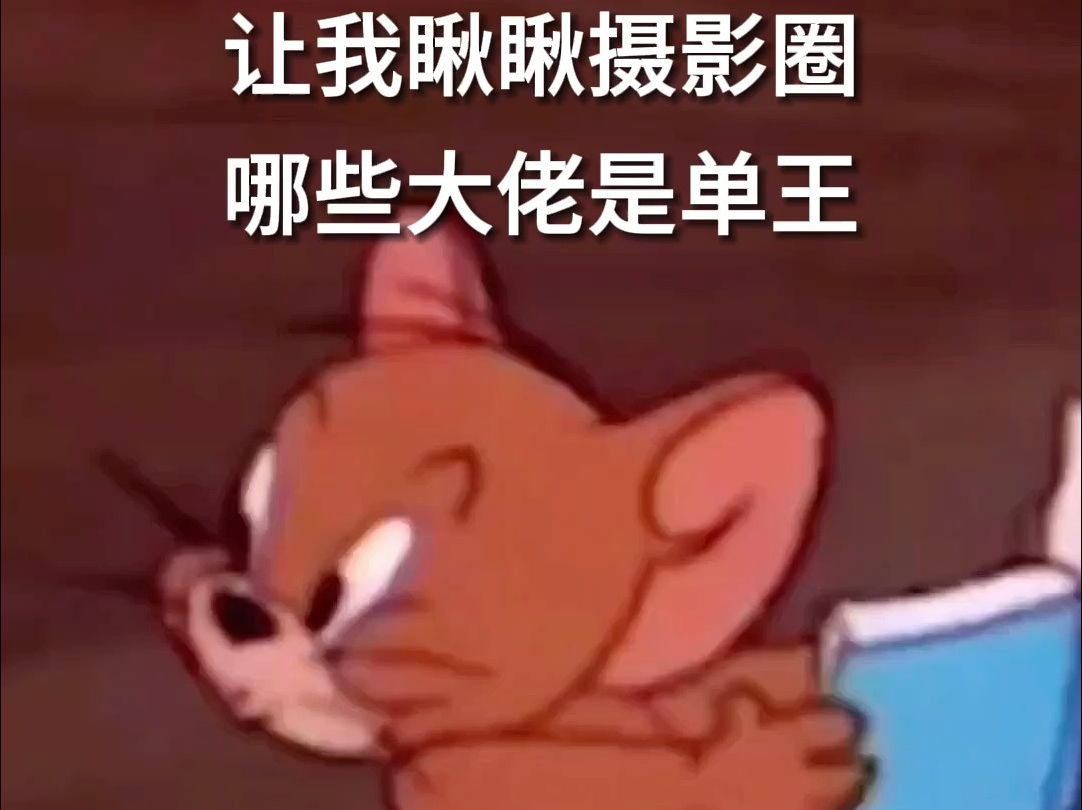 图片直播之摄影师劳模榜都在这里了!𐟑哔哩哔哩bilibili