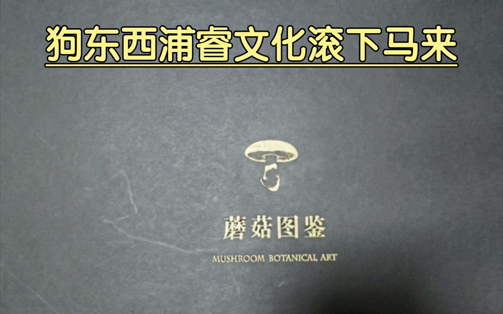 第一次众筹 浦睿文化—福尔摩斯探案集 众筹到手惊喜不断,✓浦睿滚下𐟐𔦝奓”哩哔哩bilibili