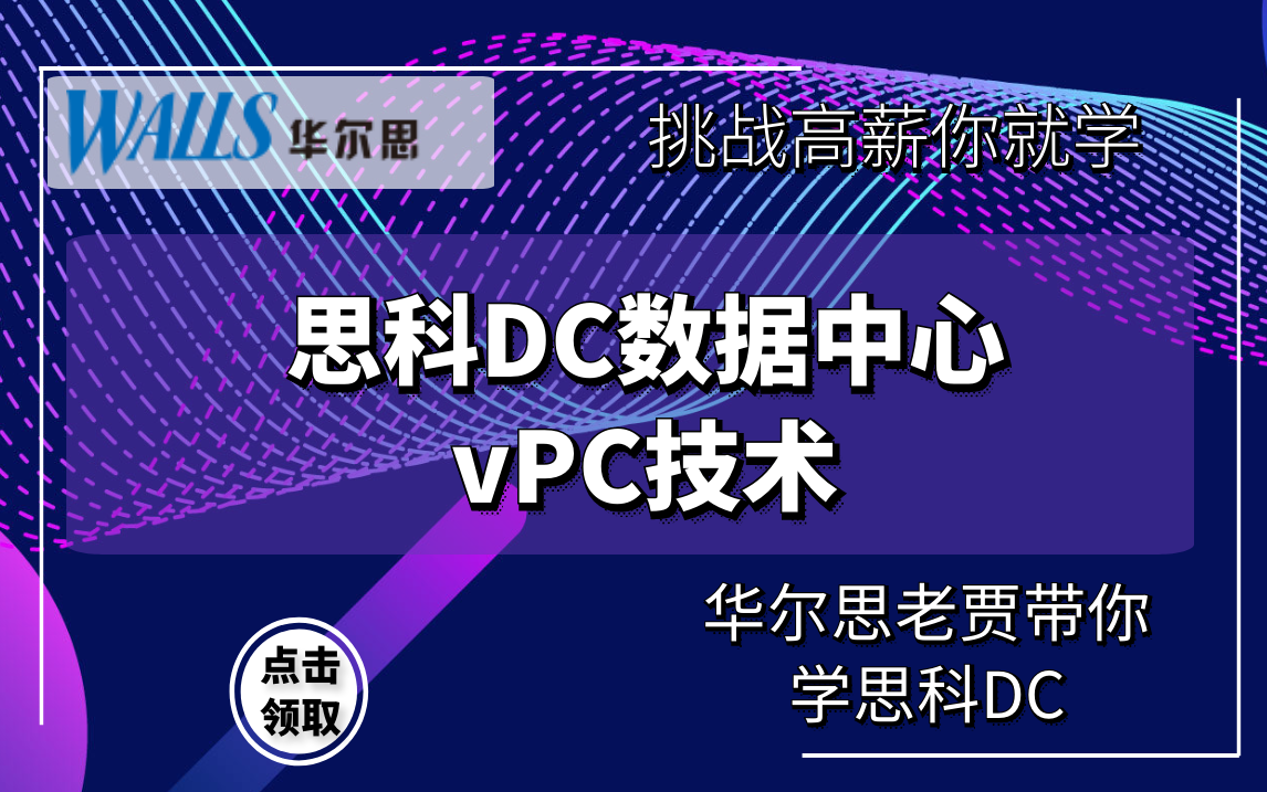 华尔思DC课程Nexus部分11NEXUS的VPC配置介绍哔哩哔哩bilibili