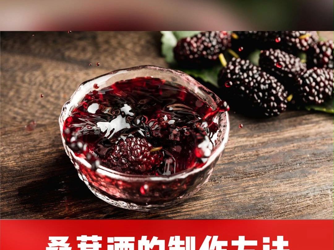 桑葚酒的製作方法?幹桑葚的價格多少錢一斤?